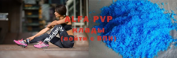 гидра Алексин