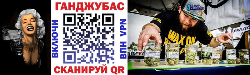 закладки  Новоузенск  Канабис марихуана 